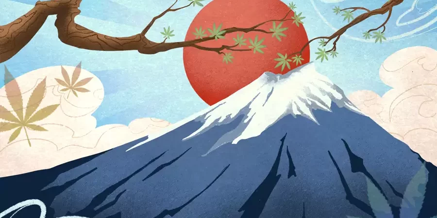 Le Japon - cannabis médical