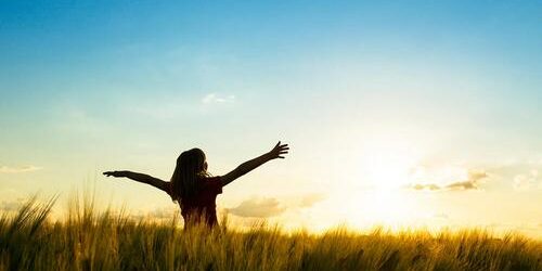 Le cannabis améliore la qualité de vie des patients atteints de maladies chroniques