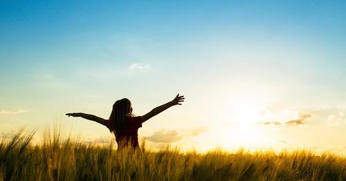 Le cannabis améliore la qualité de vie des patients atteints de maladies chroniques