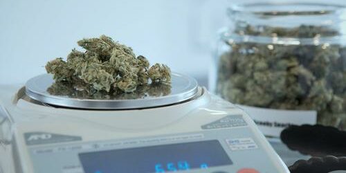 Le cannabis est sûr et efficace dans le traitement des maladies chroniques graves