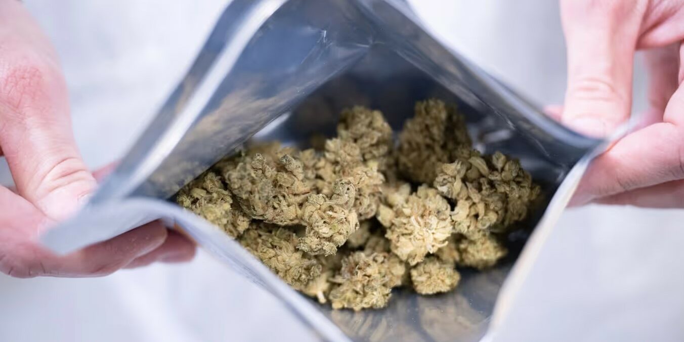 Légalisation en Allemagne - Les entreprises de cannabis flairent la bonne affaire