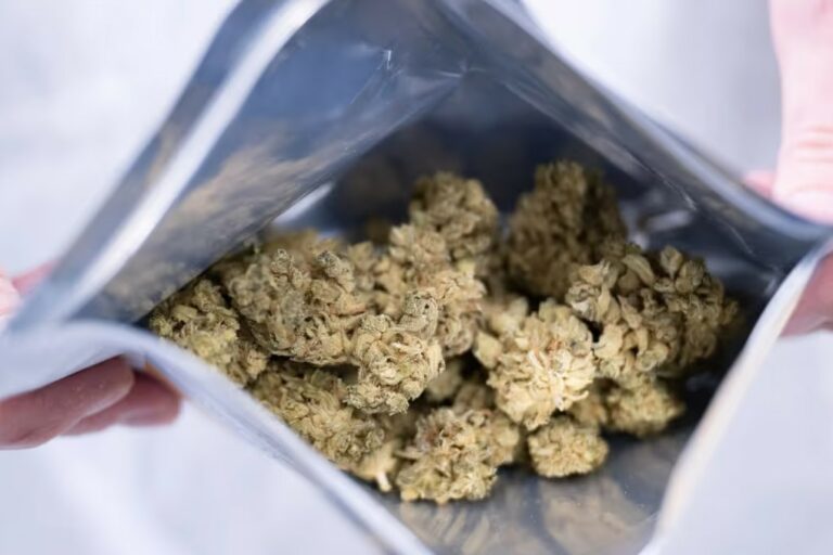 Légalisation en Allemagne - Les entreprises de cannabis flairent la bonne affaire