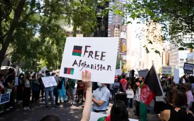 Les Talibans interdisent la culture du cannabis