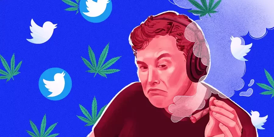 Les oiseaux chantent à propos de la publicité pour le cannabis