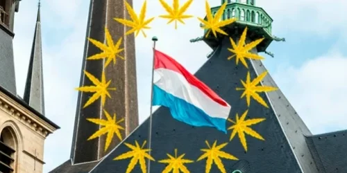 Cannabis- Luxembourg