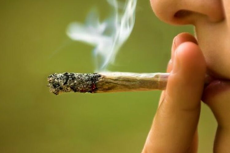 Salies-du-Salat, débat autour de la consommation de cannabis