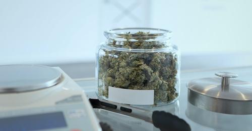 le cannabis améliore la vie des patients qui souffrent de douleurs et d'anxiété