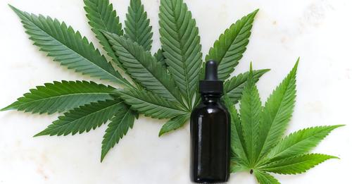 Le CBD peut vous aider à arrêter de fumer en réduisant les envies de nicotine