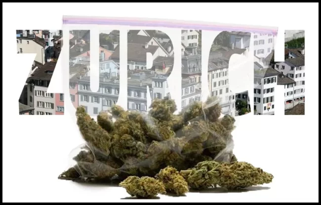 Suisse Zurich cannabis