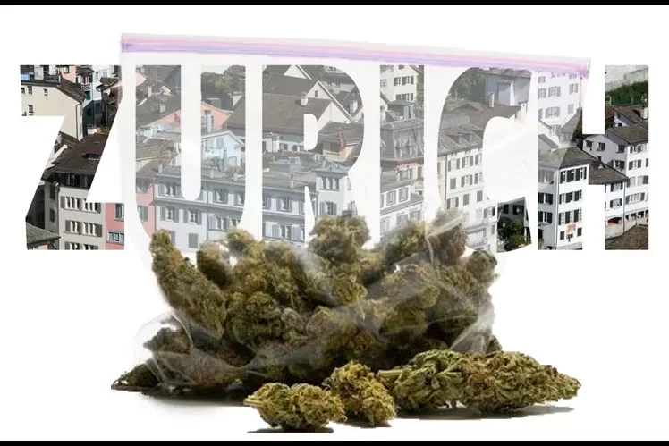 Suisse Zurich cannabis
