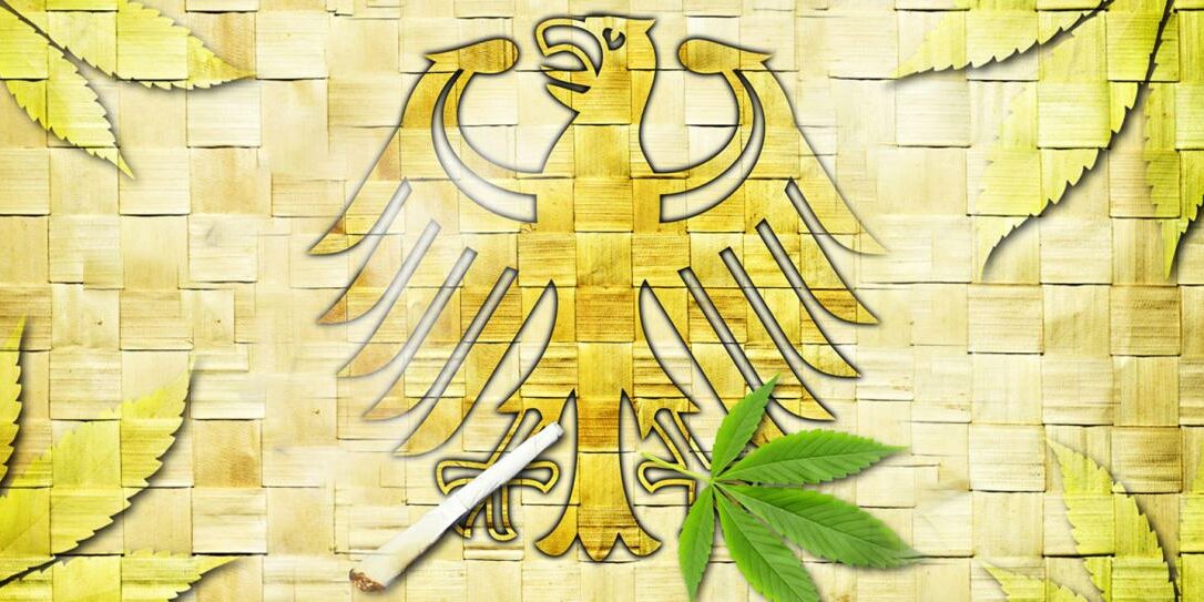 Cannabis - ces villes veulent participer à l'expérience de Lauterbach