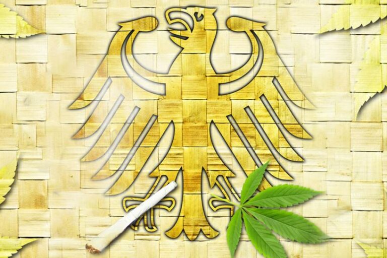 Cannabis - ces villes veulent participer à l'expérience de Lauterbach