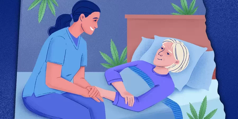 cannabis médical dans les hospices