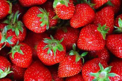 Le CBD prolonge efficacement la durée de conservation des fruits frais
