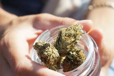 Fibromyalgie et cannabis