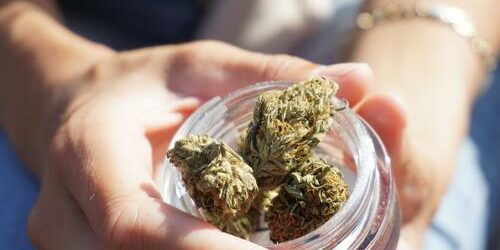 Fibromyalgie et cannabis