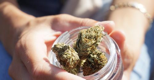 Fibromyalgie et cannabis