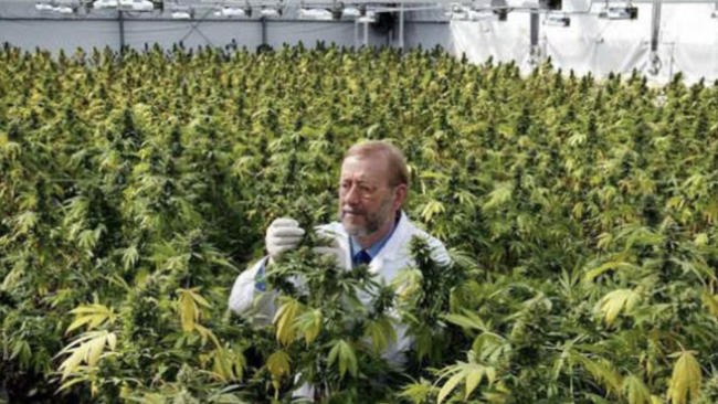 James Burton- Marijuana