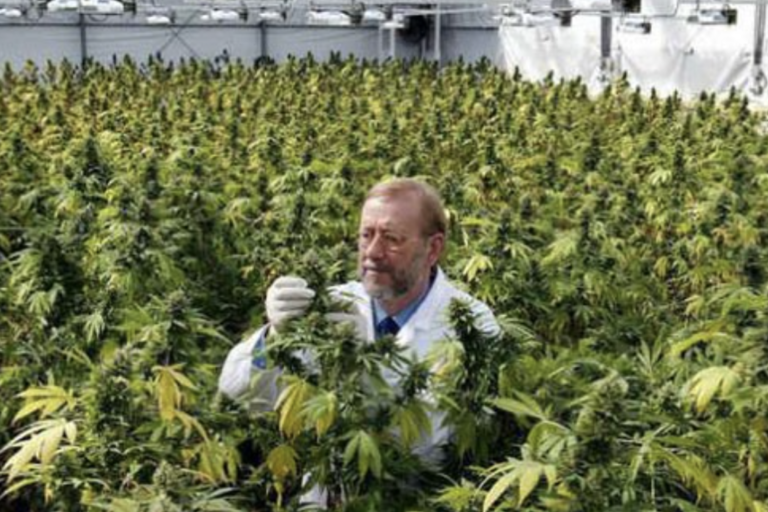 James Burton- Marijuana