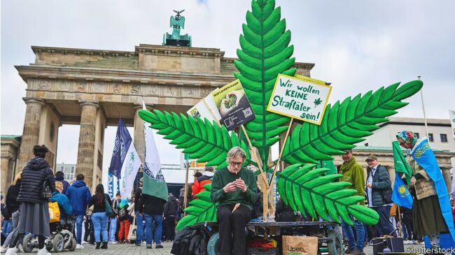 La légalisation du cannabis s'engage sur la voie de la lenteur