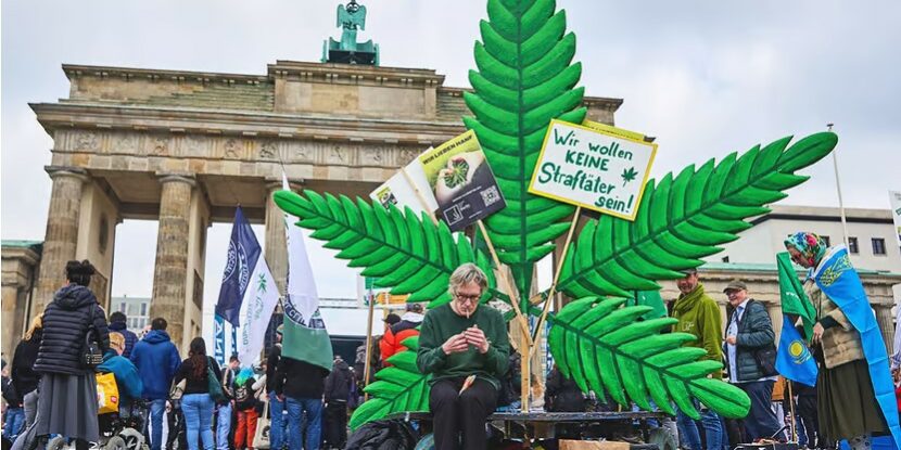 La légalisation du cannabis s'engage sur la voie de la lenteur