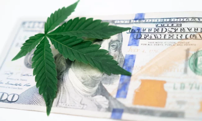 La légalisation du cannabis, un bon plan pour lutter contre les violences