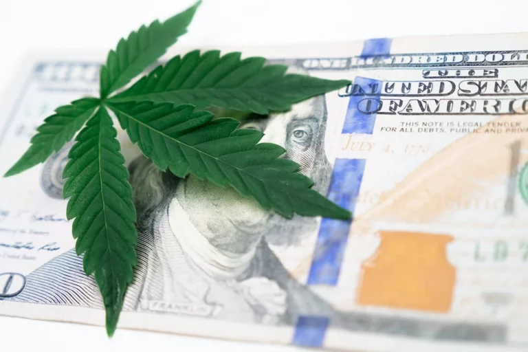 La légalisation du cannabis, un bon plan pour lutter contre les violences