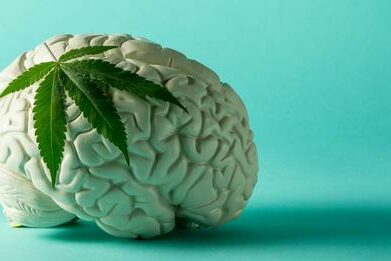 Le cannabis contre les tumeurs cérébrales