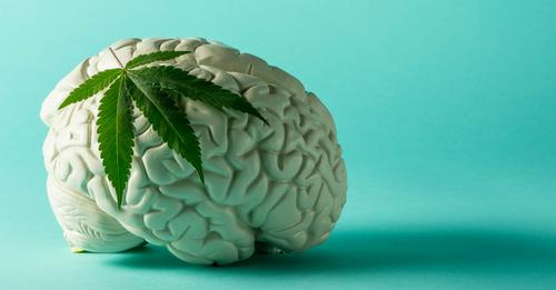 Le cannabis contre les tumeurs cérébrales