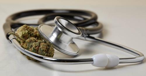 Le cannabis est efficace contre la douleur cancéreuse