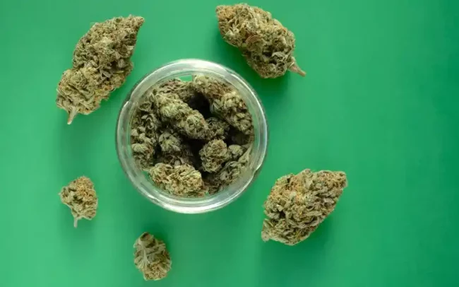 marché de producteurs de cannabis