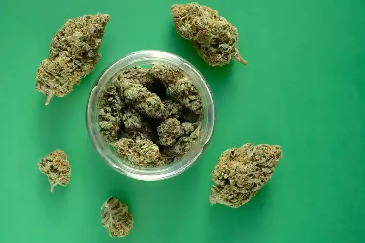 marché de producteurs de cannabis