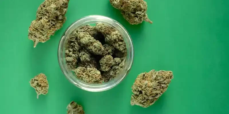 marché de producteurs de cannabis