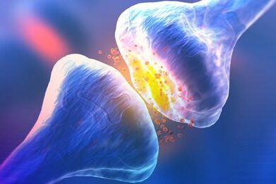 Récepteurs du système endocannabinoïde