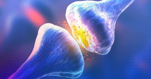 Récepteurs du système endocannabinoïde