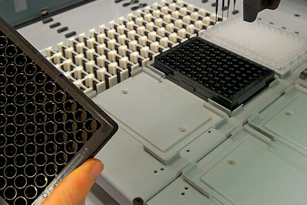 Bientôt du cannabis médical made in Angers