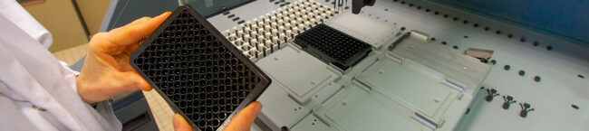 Bientôt du cannabis médical made in Angers