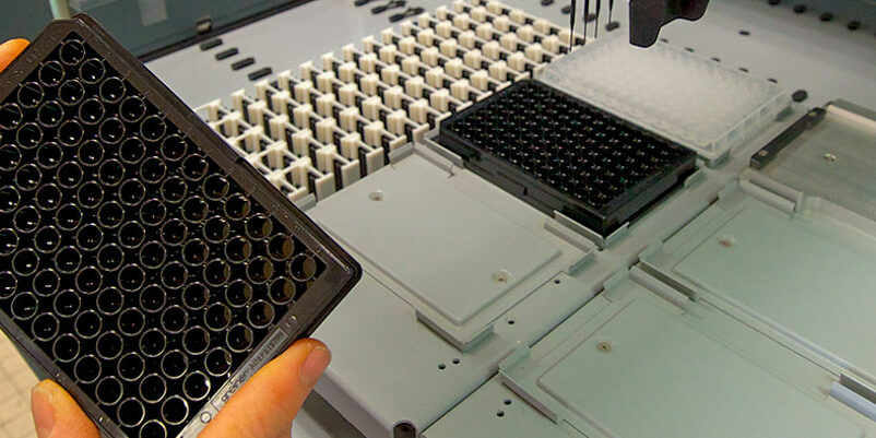 Bientôt du cannabis médical made in Angers