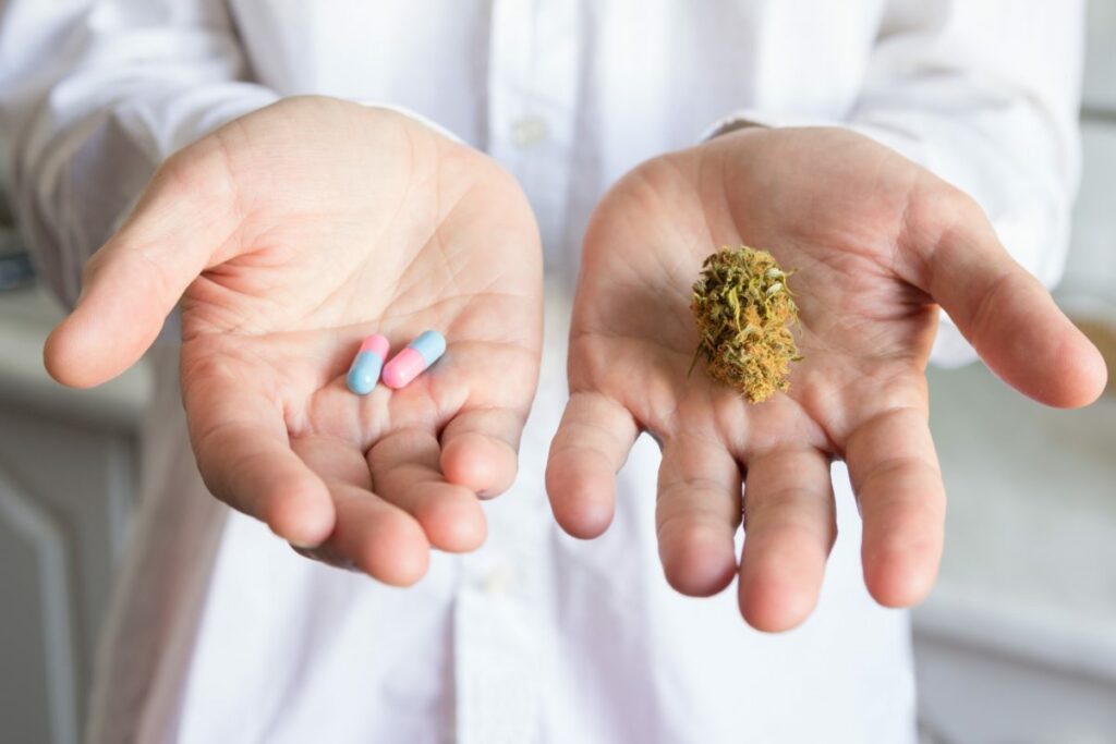 Cannabis : la médecine du peuple