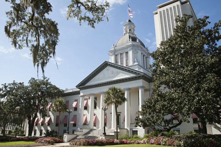 Floride la légalisation du cannabis sera soumise aux électeurs