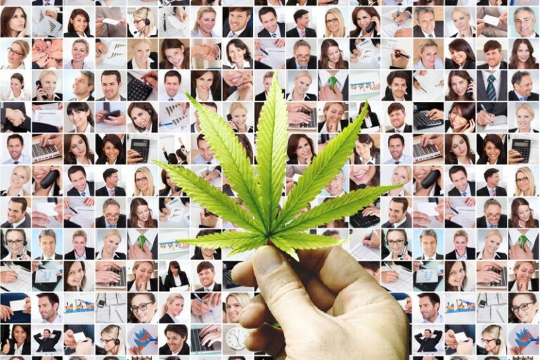 Le cannabis améliore la qualité de vie de nombreux patients