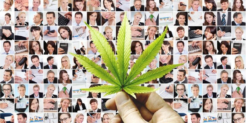 Le cannabis améliore la qualité de vie de nombreux patients