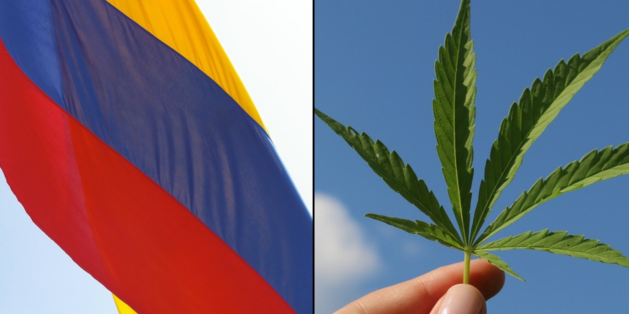 colombie-légalisation-cannabis
