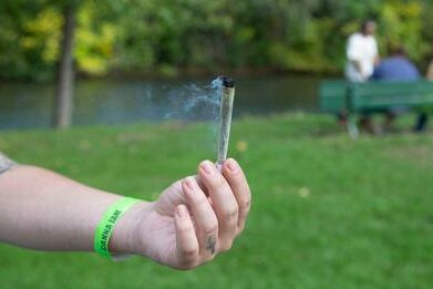 un festival dédié au cannabis
