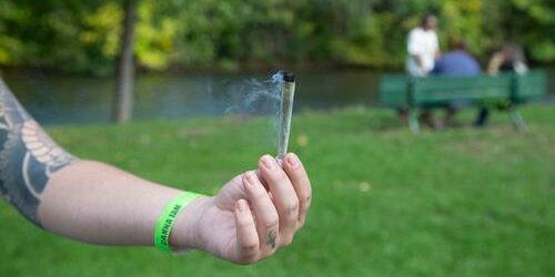 un festival dédié au cannabis un festival dédié au cannabis