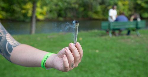 un festival dédié au cannabis