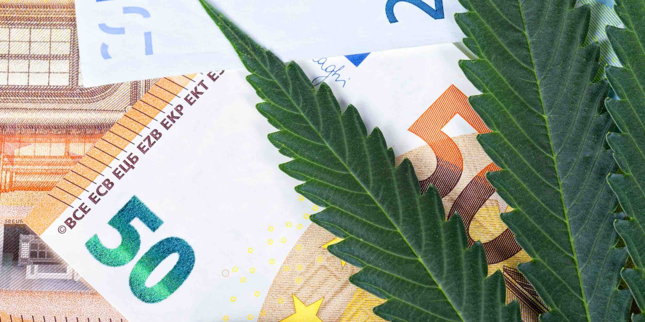 The prosperous business of growing cannabis distribution and sale business cannabis médical France