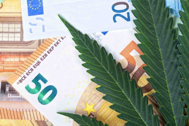 business cannabis médical France