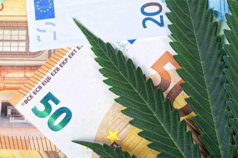 business cannabis médical France