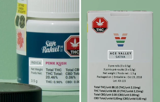 Canada-cannabis-taux gonflés